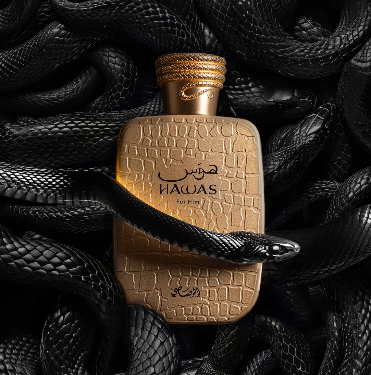 Hawas Viper for Him by Rasasi 100ml Edp Mens
