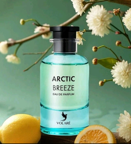 Arctic Breeze by Volare 100mp Edp Unisex